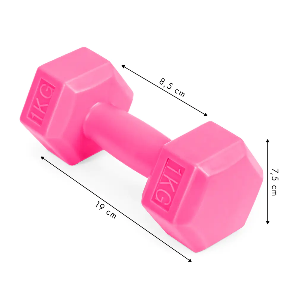 Fitness dumbbells, set dumbbells, weights 2x 1 kg