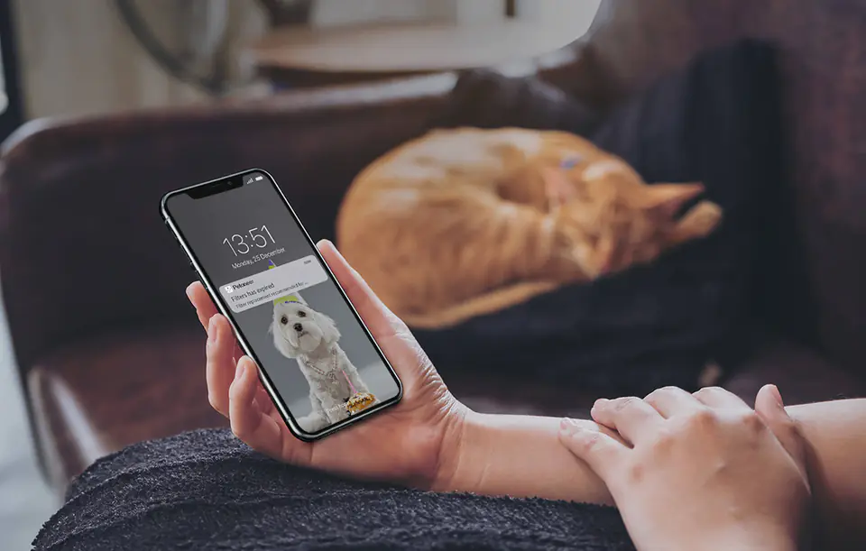 Smart fountain/drinker for dog and cat Petoneer Fresco Pro