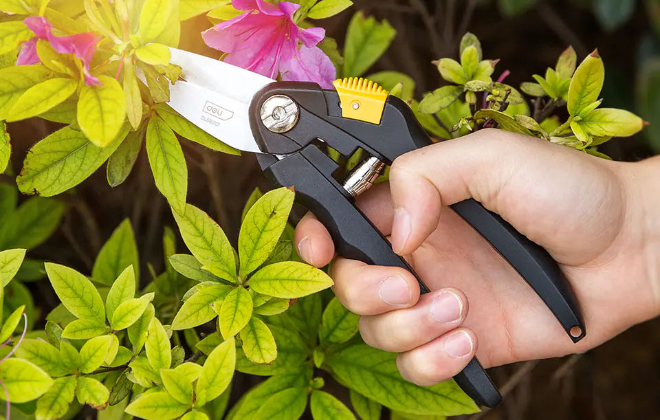 Sekator uniwersalny Deli Tools EDL580101, 8" (czarny)