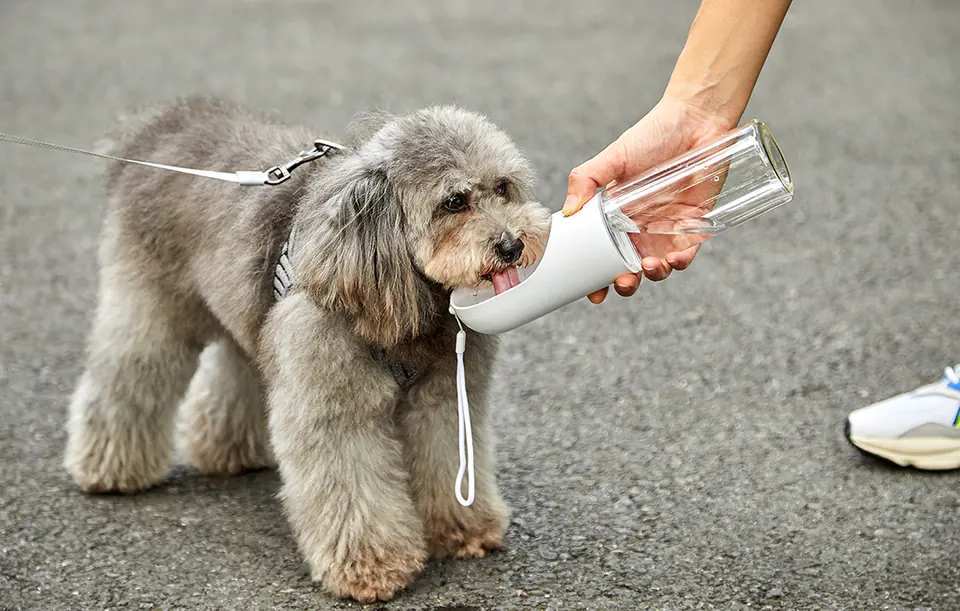 Butelka podróżna dla zwierząt Petkit Eversweet Travel 400ml