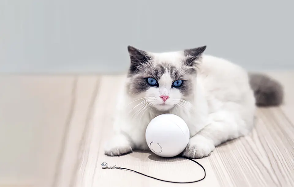 Inteligentna piłka do zabawy dla psa / kota Homerunpet TB10