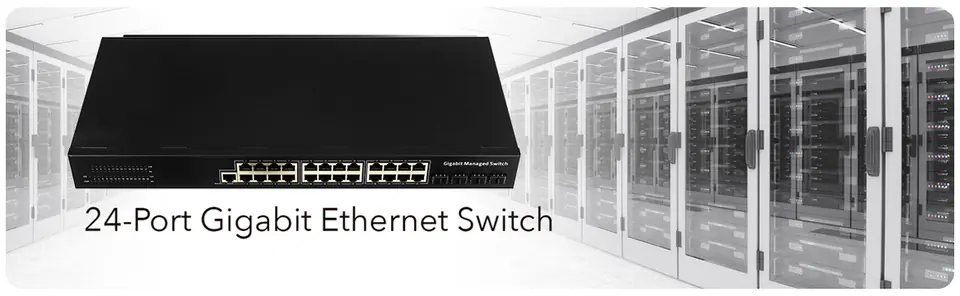 Gigabit Switch, PoE Switch, Managed Switch, 10G SFP slots