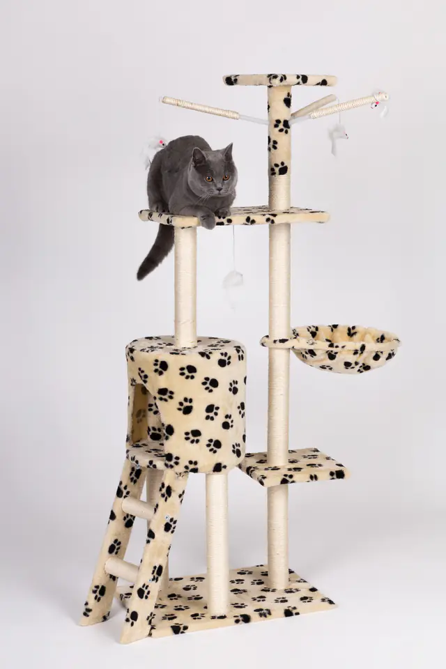 Drapak dla kota domek drzewo legowisko 138 cm XL odciski łapek Petsi
