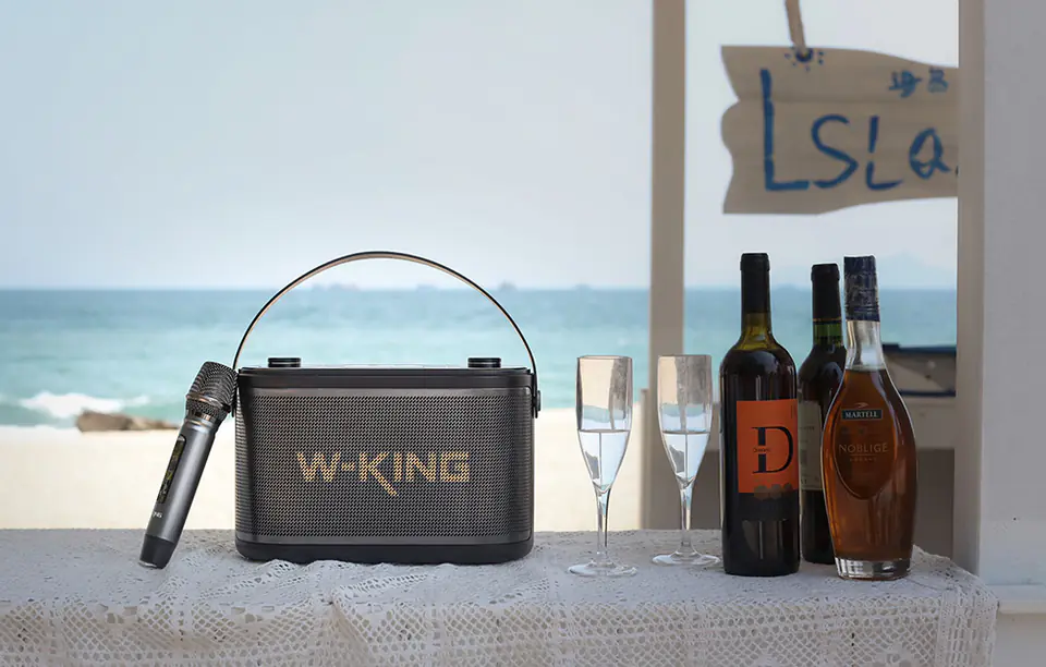 Głośnik bezprzewodowy Bluetooth W-KING H10 S 80W + mikrofon (czarny)