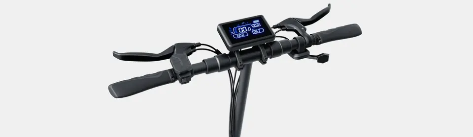Hulajnoga elektryczna Ruptor R1 (miedziana)