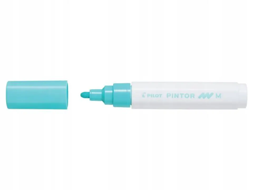 Marker PINTOR M pastelowy zielony PISW-PT-M-PG PILOT