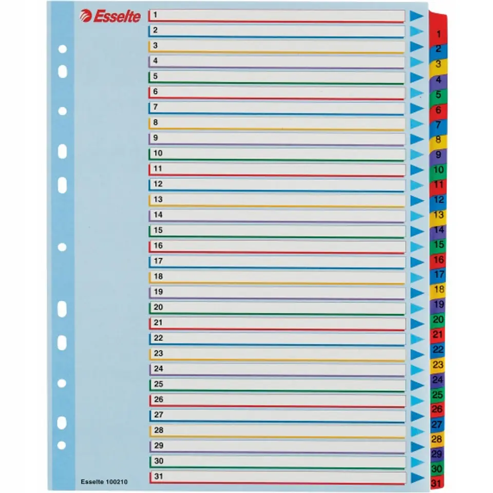 Przekładki kartonowe MYLAR A4 MAXI 1-31 ESSELTE 100210