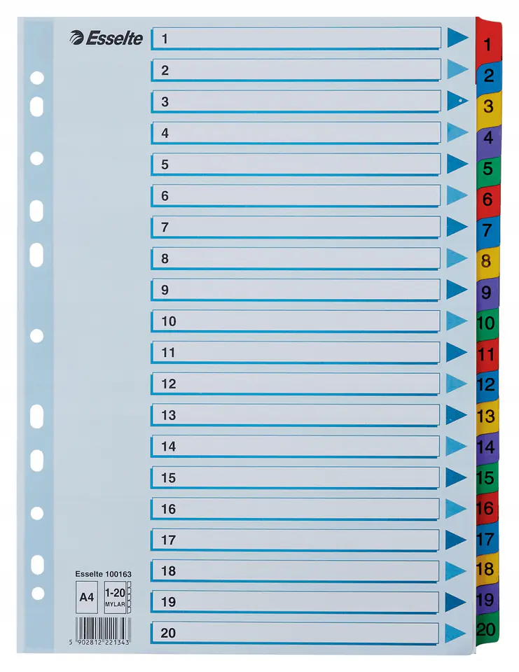 Przekładki kartonowe MYLAR A4 1-20 białe 100163 ESSELTE