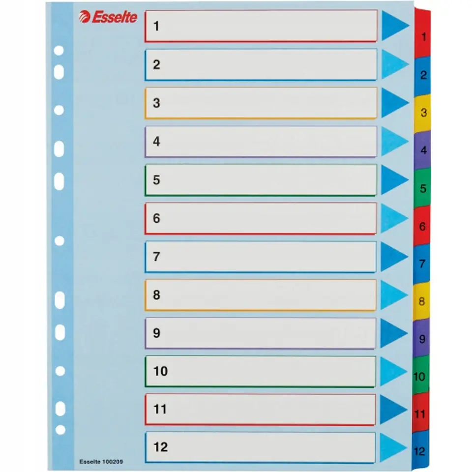 Przekładki kartonowe MYLAR A4 MAXI 1-12 ESSELTE 100209