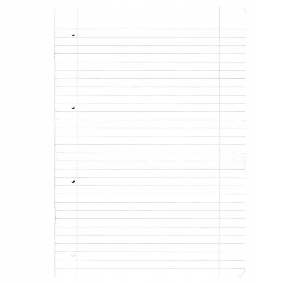 Notatnik Flex A4 80 kartek w kratkę i linie Notes Ladylike Jungle 50044320 HERLITZ