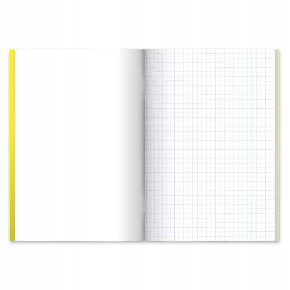 Zeszyt szkolny A5 60 kartek w kratkę 70g ECO PP Colors 9552308 HERLITZ