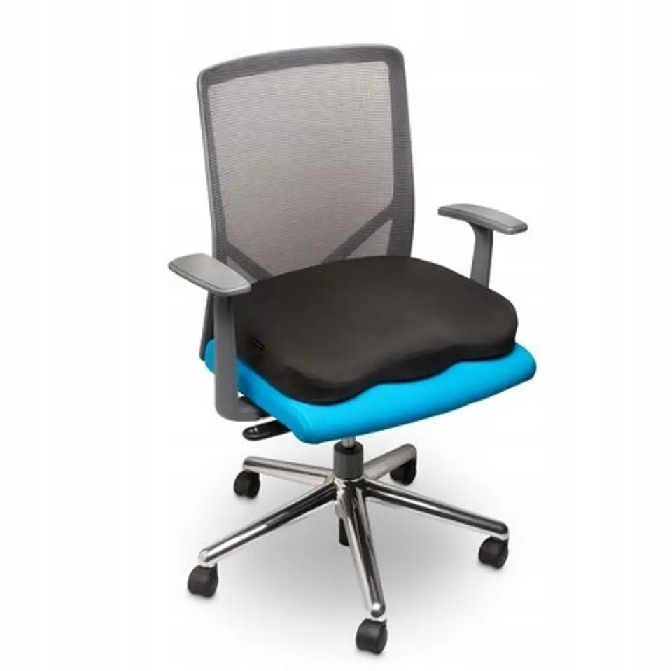 Ergonomiczna poduszka KENSINGTON na krzesło K55805WW