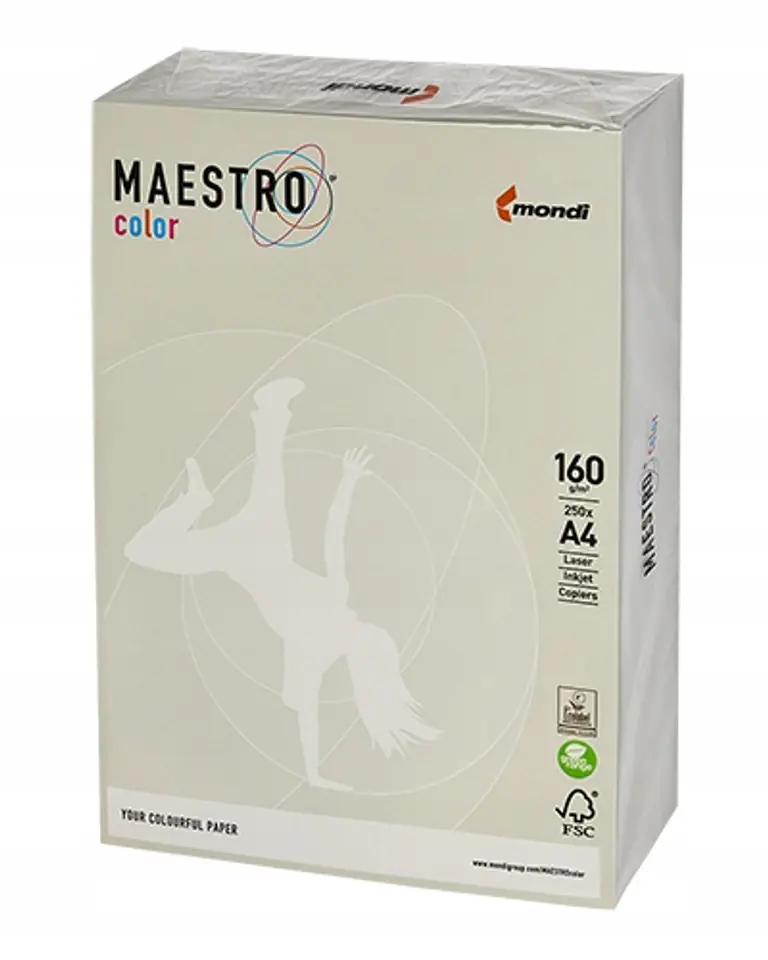 Papier ksero A4 160g MAESTRO COLOR GR21 szary 250a