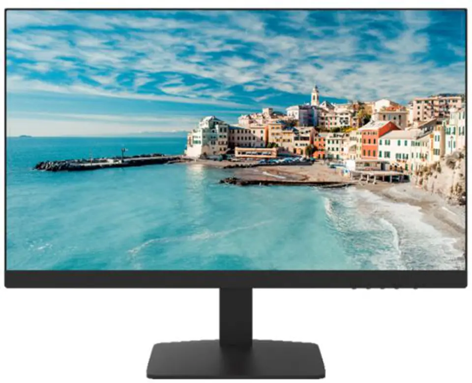 Monitor HikVision DS-D5022FN-C