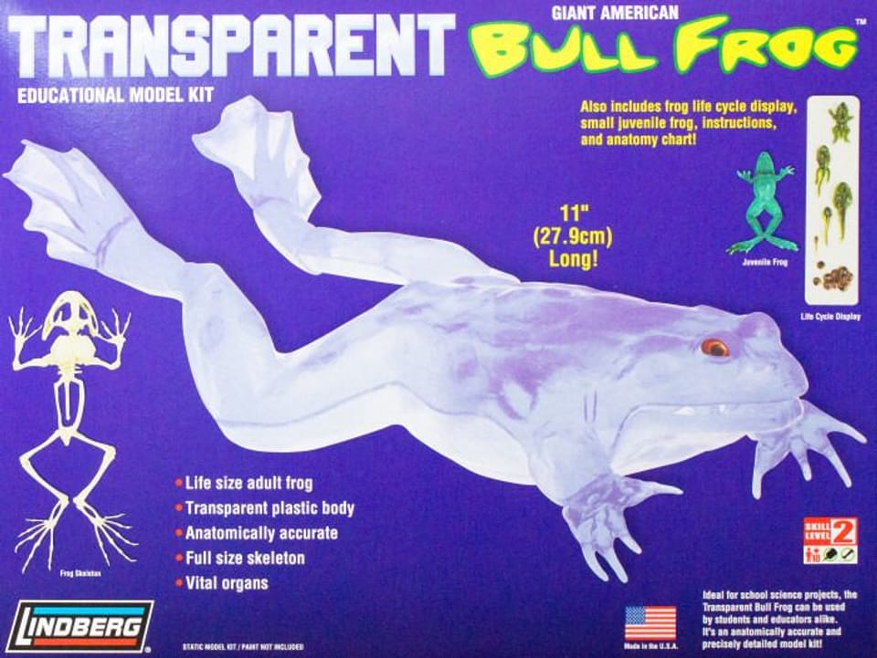 Model plastikowy Lindberg - Transparent Bull Frog (Przezroczysta żaba rycząca)