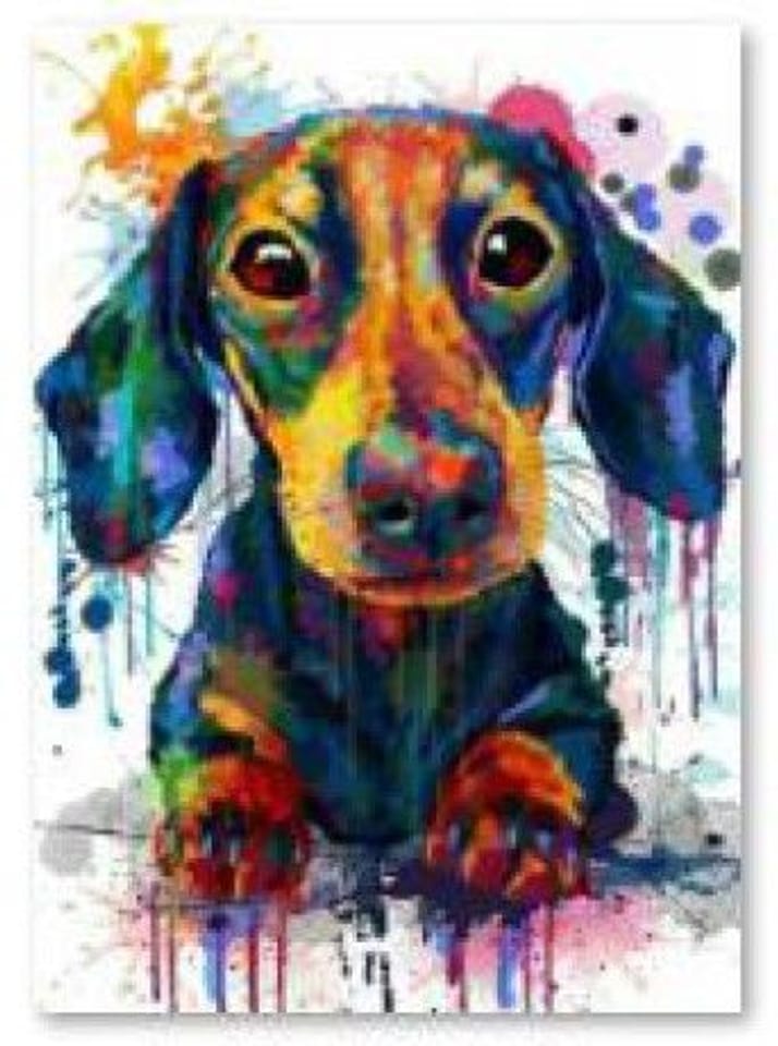 Diamond Embroidery, Painting, Diamond Mosaic Diamond Painting, DOG COLOR 30x40cm