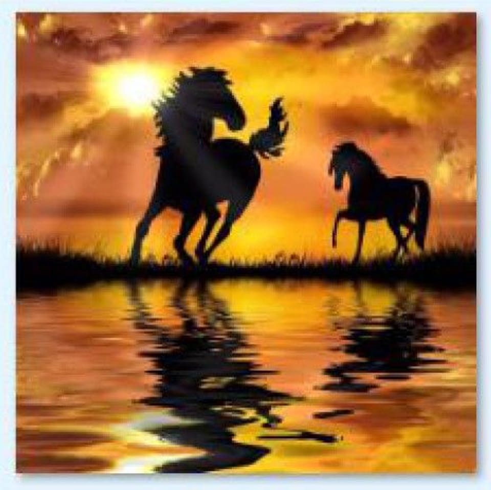 Diamond Embroidery, Painting, Diamond Mosaic Diamond Painting, HORSES - SUNSET 30x30cm