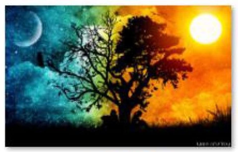 Haft Diamentowy, Obraz, Mozaika Diamentowa Diamond Painting, DRZEWO - NOC i DZIEŃ 40x30cm