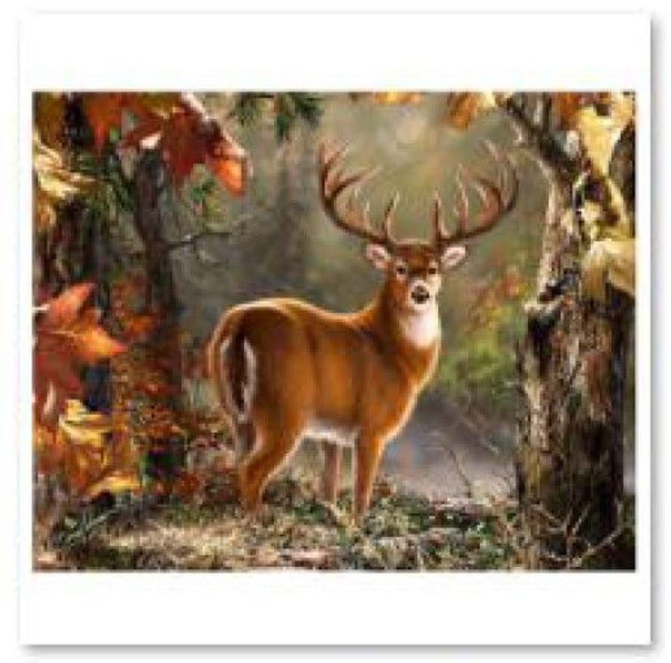 Diamond Embroidery, Painting, Diamond Mosaic Diamond Painting, DIGNIFIED DEER 40x30cm