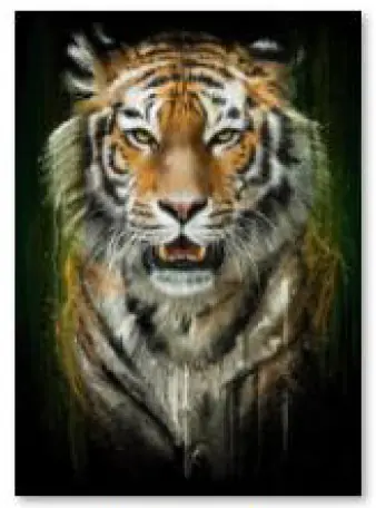 Diamond Embroidery, Painting, Diamond Mosaic Diamond Painting, TIGER 30x40cm