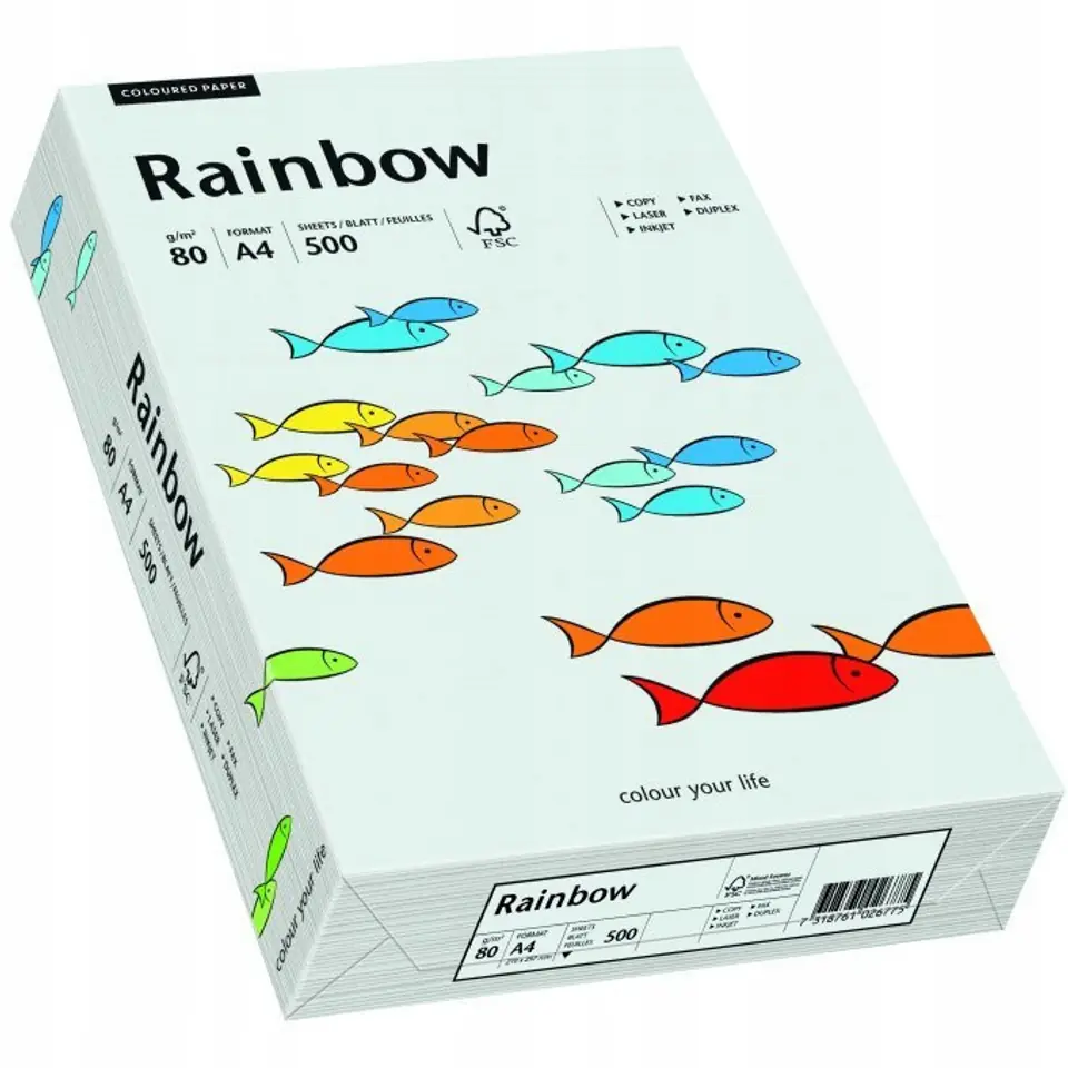 Papier ksero A4 80g RAINBOW R93 jasnoszary 88042783