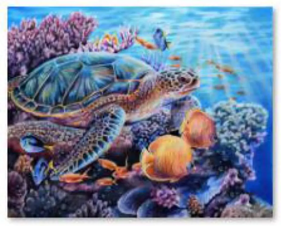 Diamond Embroidery, Painting, Diamond Mosaic Diamond Painting, CORAL REEF 40x30cm