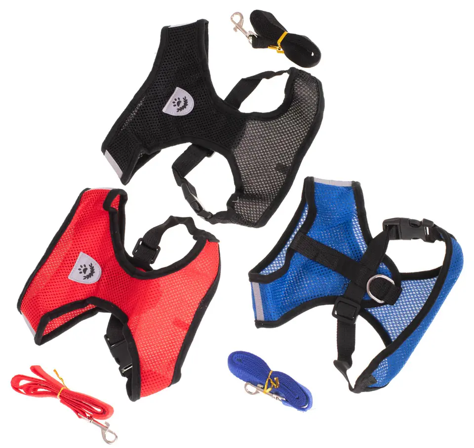 Pressure-free harness for dogs + LEAsh XL