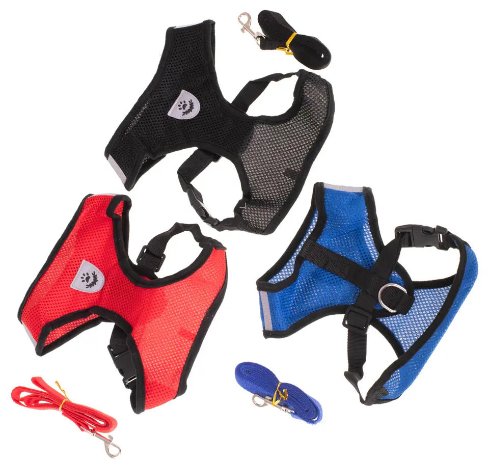 Pressure-free harness for dogs + leash L