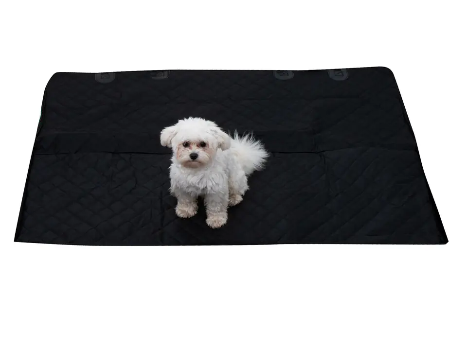 Car Mat for Animals Waterproof Cover