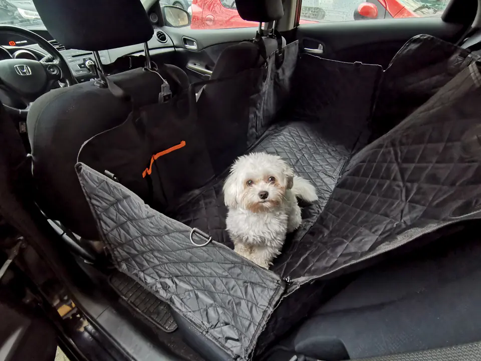 Car Mat for Animals Waterproof Cover