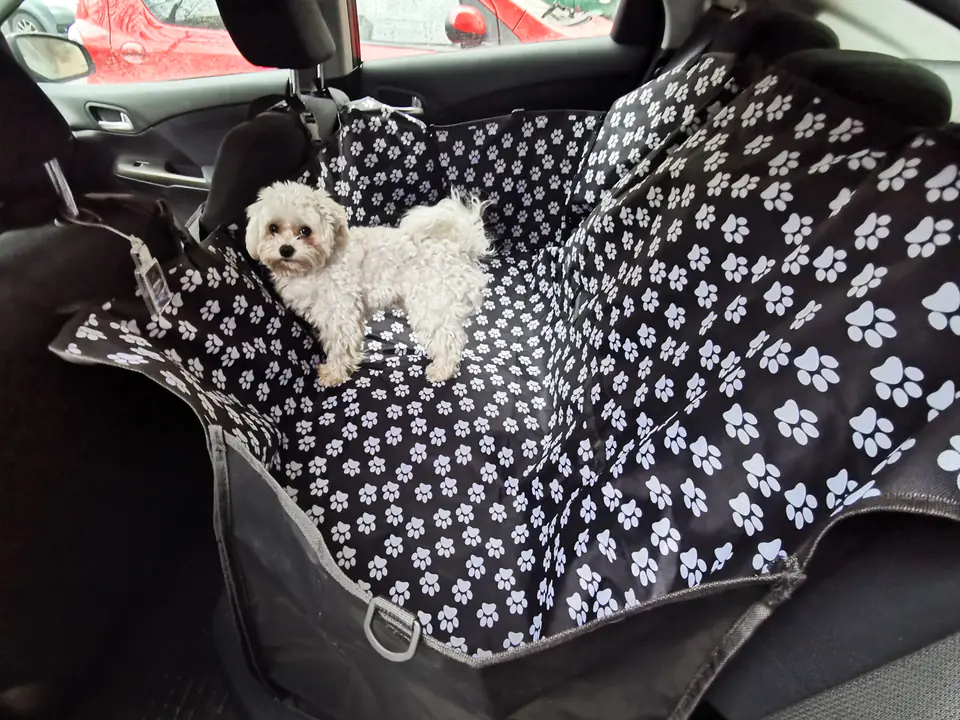 Car mat for animals wodoo paw cover