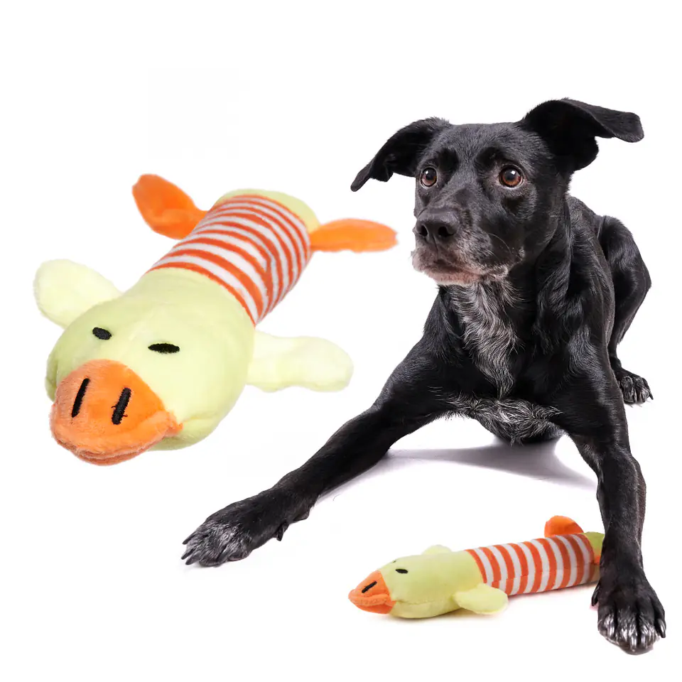 Dog toy plush chew squeaking duck