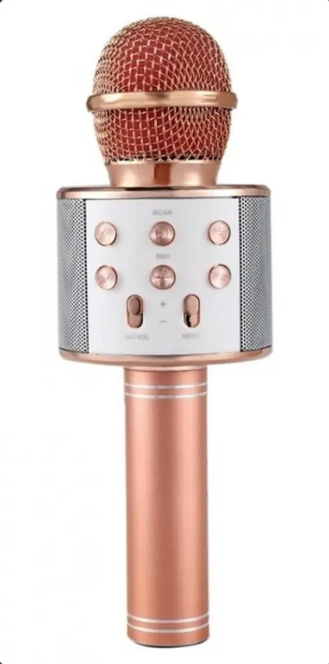 Karaoke-Mikrofon med Bluetooth Lautsprecher 5W - Roségold