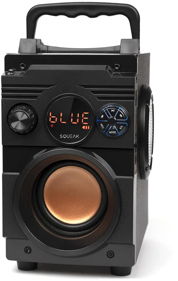 SQUEAK GŁOŚNIK BASSBLASTER BLUETOOTH 5.1, RADIO FM, ODTWARZACZ MP3 SQ1001