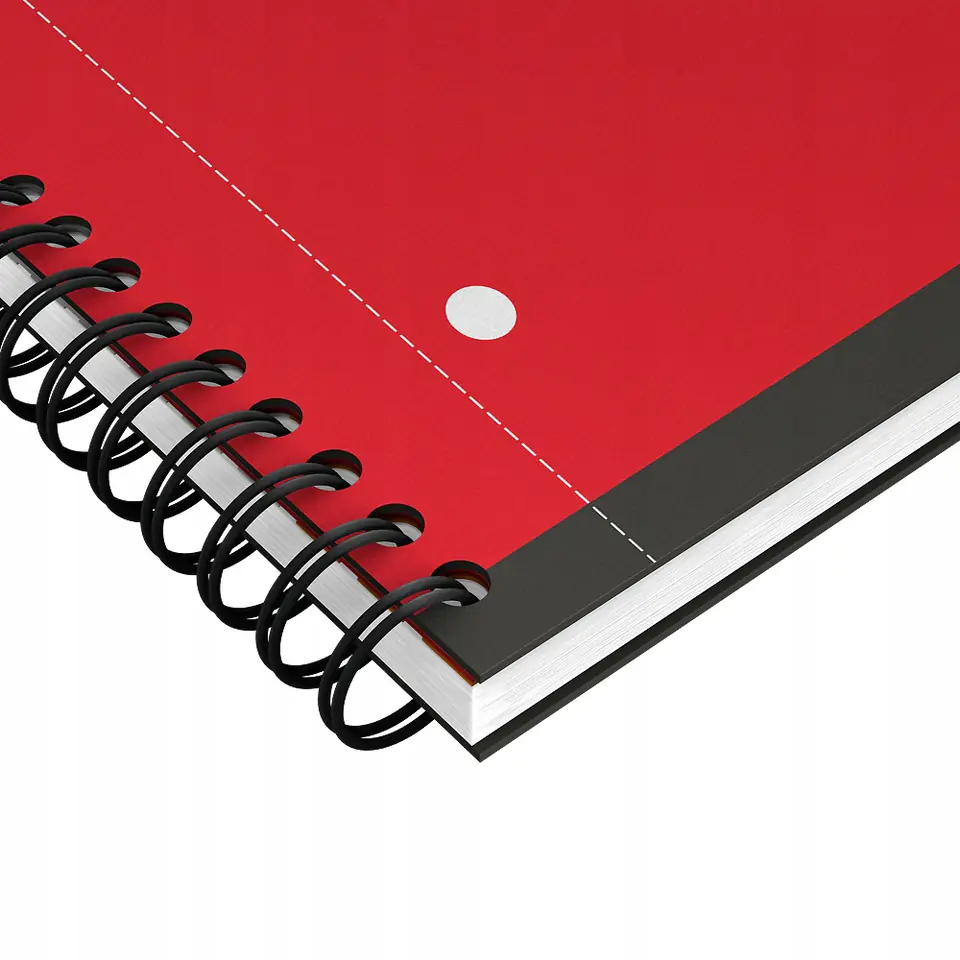 Kołonotatnik A4 80k kratka PP OXFORD Activebook International 100104329