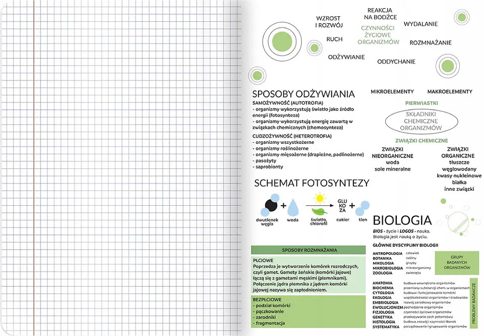 Zeszyt A5 60k kratka margines ściągi BIOLOGIA 400181529 TOP 2000