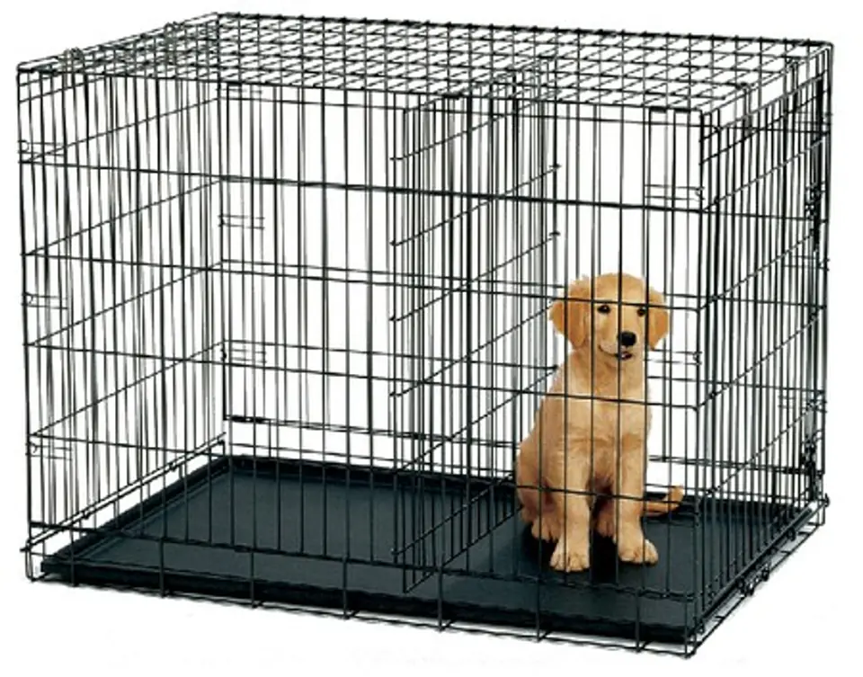 Life stages dog clearance cage