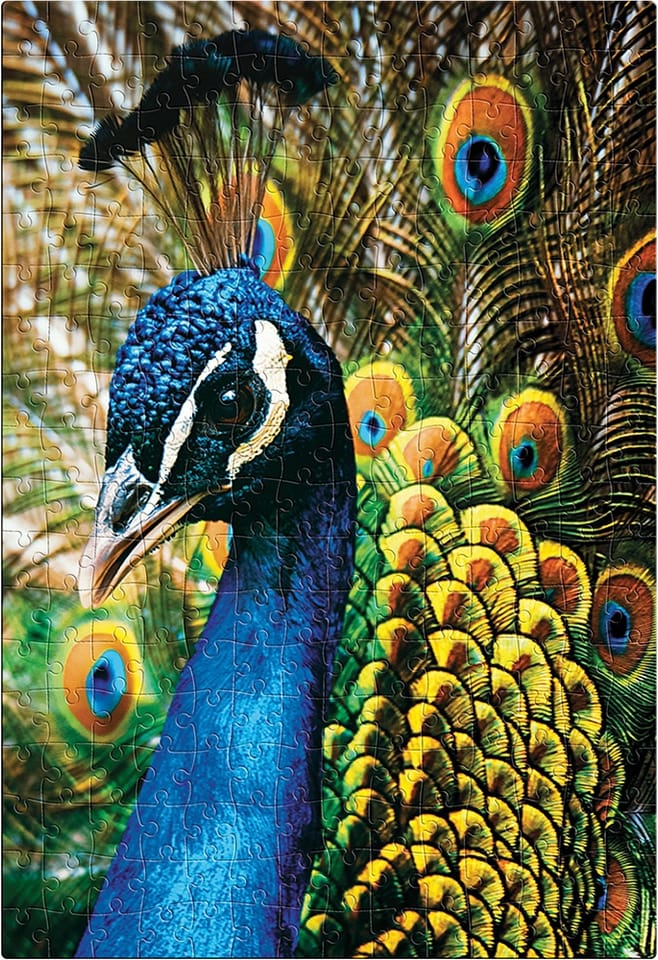 Puzzle 250 Colourful Nature 1 PEACOCK INTERDRUK