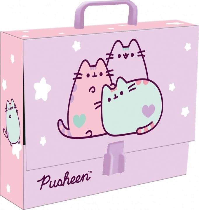 Teczka z rączką XL na prace plastyczne PUSHEEN ST.MAJEWSKI