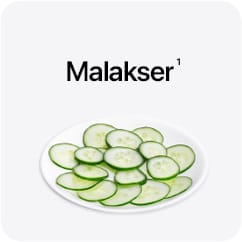 Malakser