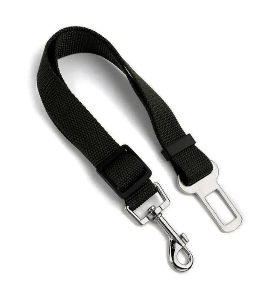 Car leash for dog