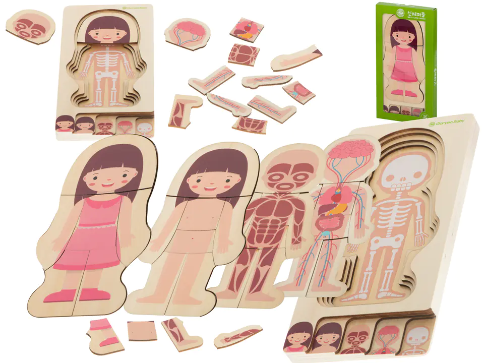 Puzzle wooden layered physique montessori girl