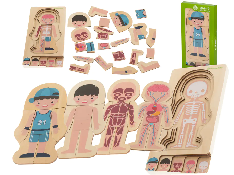 Puzzle wooden layered physique montessori boy