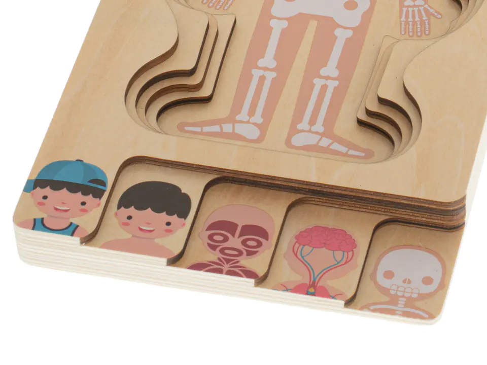 Puzzle wooden layered physique montessori boy