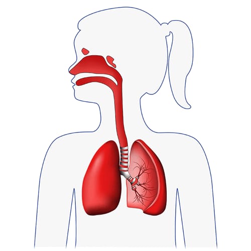 FLAEM 4NEB Inhalator pneumatyczno-tłokowy z regulacją cząsteczek, nebulizator RF9