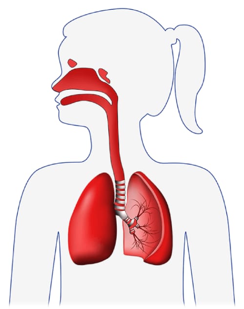 FLAEM ALPHANEB 4.0 Inhalator tłokowy z nebulizatorem RF9, certyfikat TÜV