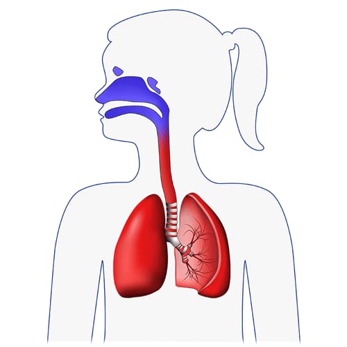 FLAEM 4NEB Inhalator pneumatyczno-tłokowy z regulacją cząsteczek, nebulizator RF9