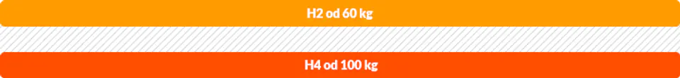 Frankhauer Materac pocket z podwójnym kokosem Zeus (pokrowiec Aloe Vera, rozmiar 80 x 180*)