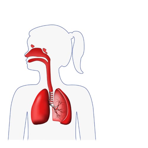 FLAEM NEBULAIR+ Inhalator pneumatyczno-tłokowy profesjonalny z nebulizatorem RF7