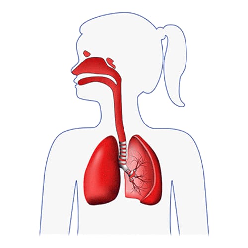 FLAEM 4NEB Inhalator pneumatyczno-tłokowy z regulacją cząsteczek, nebulizator RF9